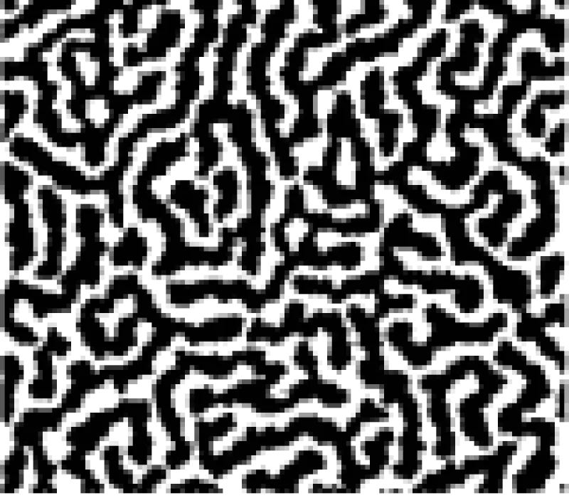 Simulation of a modulated phase