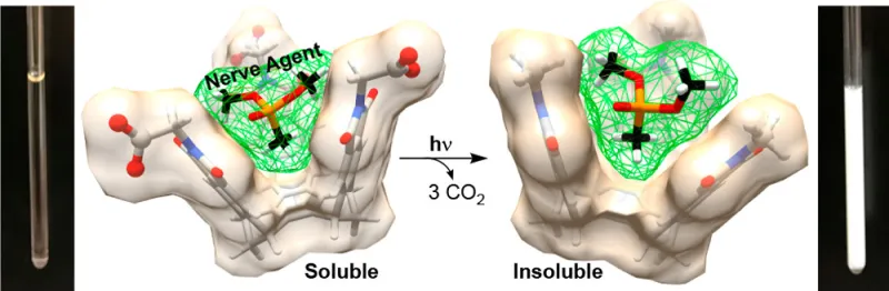 Nerve agent encapsulation model