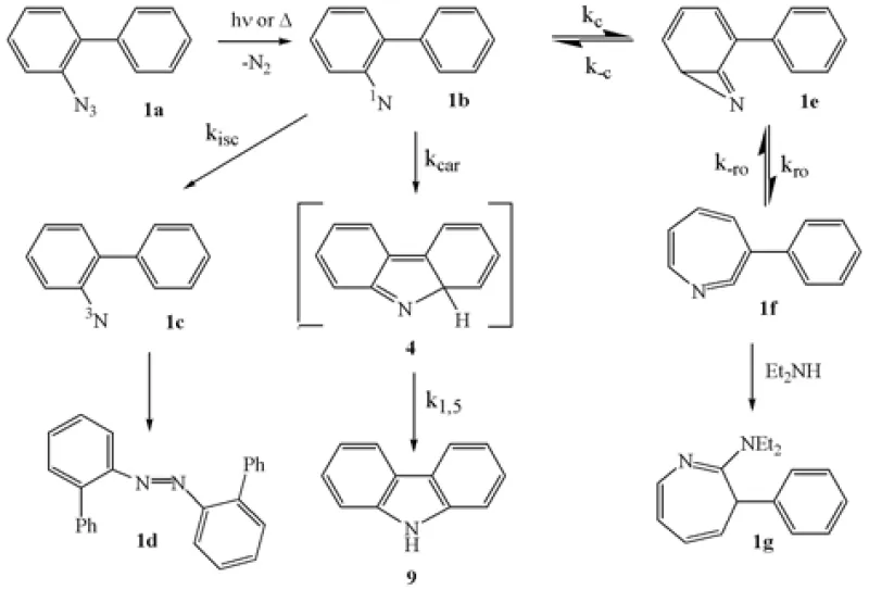 Platz Figure 1